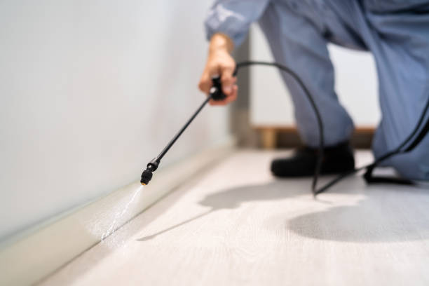 Professional exterminator conducting IPM assessment in Rocky Ford