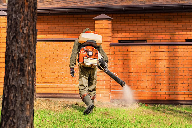 Bed Bug Clearance Verification and Documentation in Rocky Ford